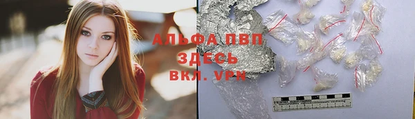 винт Гусиноозёрск