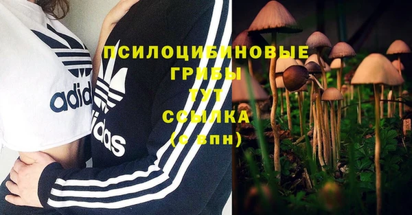 марихуана Гусев
