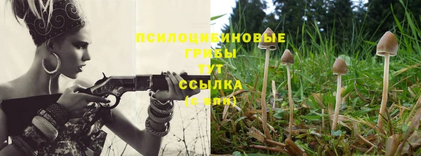 молекула духа Гусь-Хрустальный