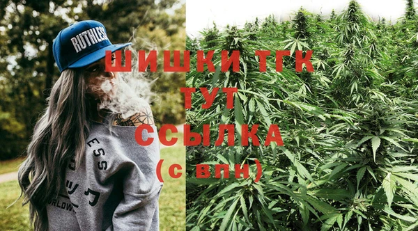 винт Гусиноозёрск