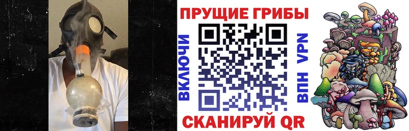 Галлюциногенные грибы Psilocybine cubensis  Макарьев 